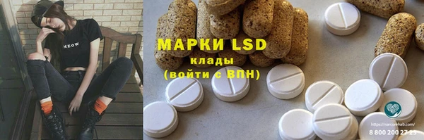 spice Бородино