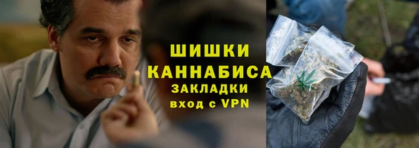 хмурый Бронницы