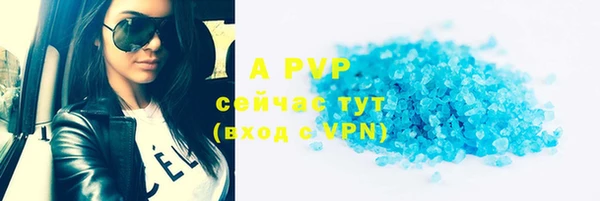 крисы Богданович