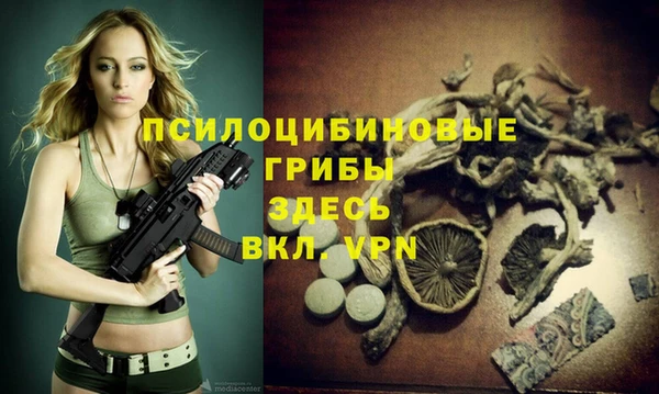 spice Бородино