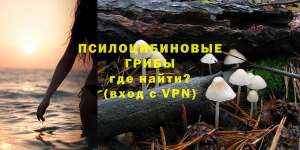крисы Богданович