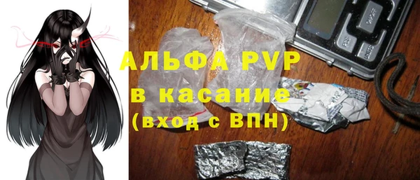 spice Бородино