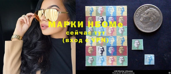 прущий лед Богородицк