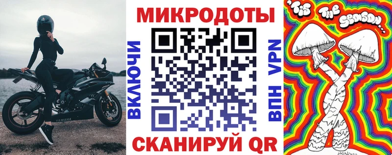где можно купить   Пересвет  мега как войти  Псилоцибиновые грибы Cubensis 